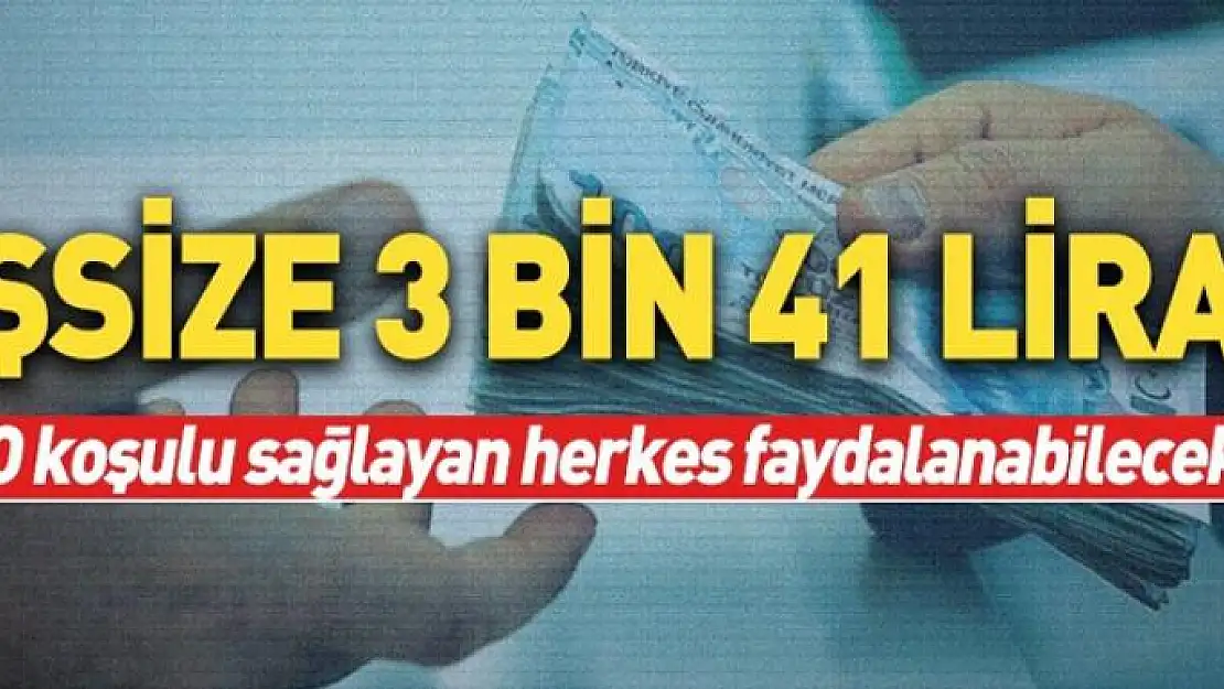 Hem meslek hem maaş! İşsize 3 bin 41 TL...