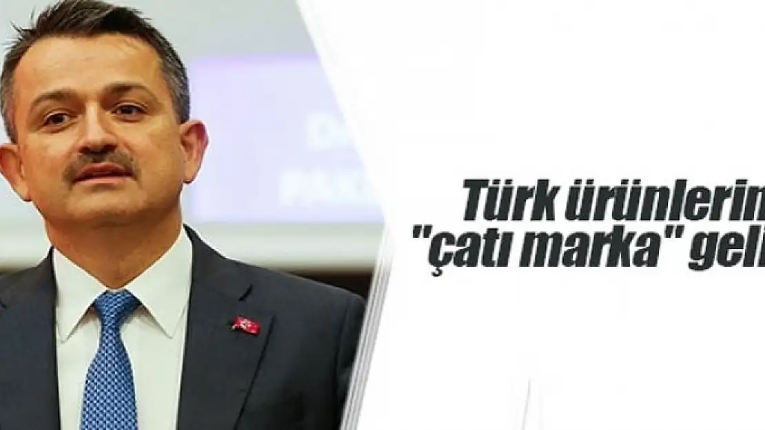 Yeni bir çatı marka geliyor