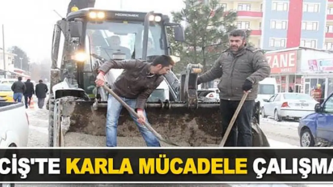 Erciş Belediyesinden karla mücadele seferberliği