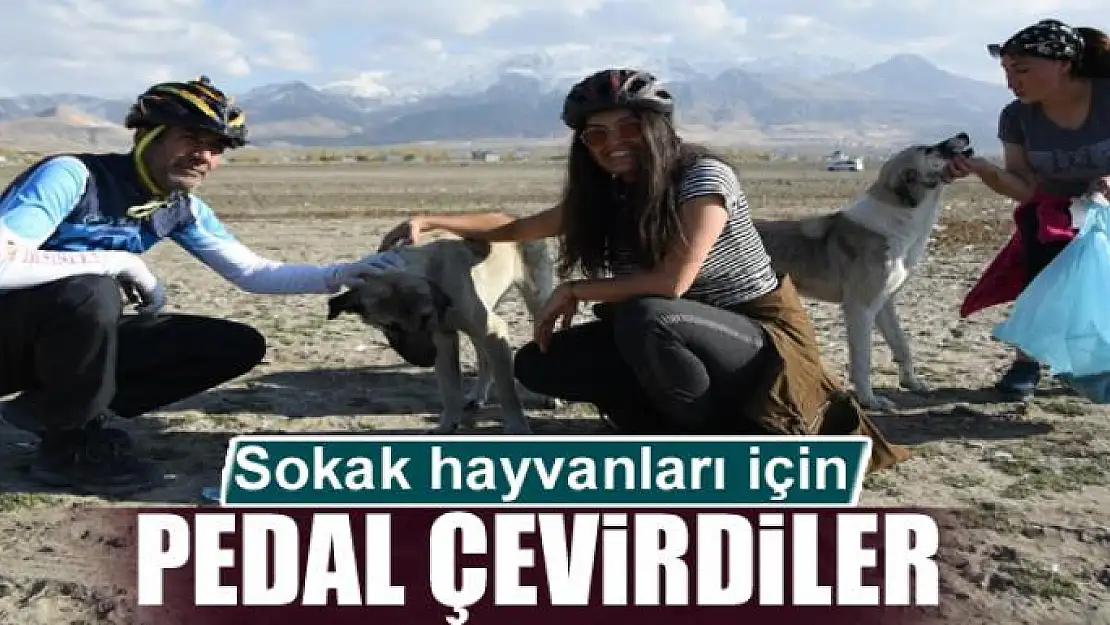 Sokak hayvanları için pedal çevirdiler