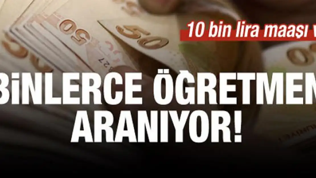 Binlerce öğretmen aranıyor: 10 bin lira maaşı var!