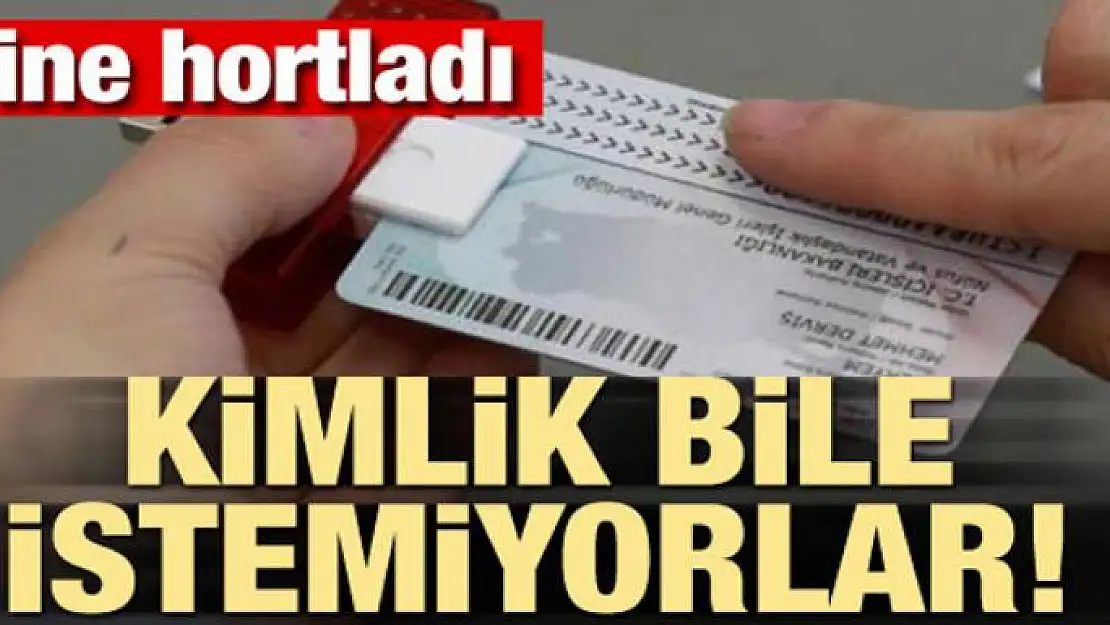 Yine hortladı! Kimlik bile istemiyorlar!