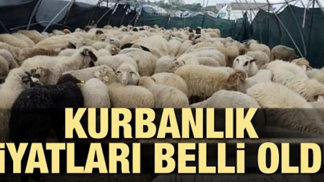 Kurbanlık fiyatları belli oldu