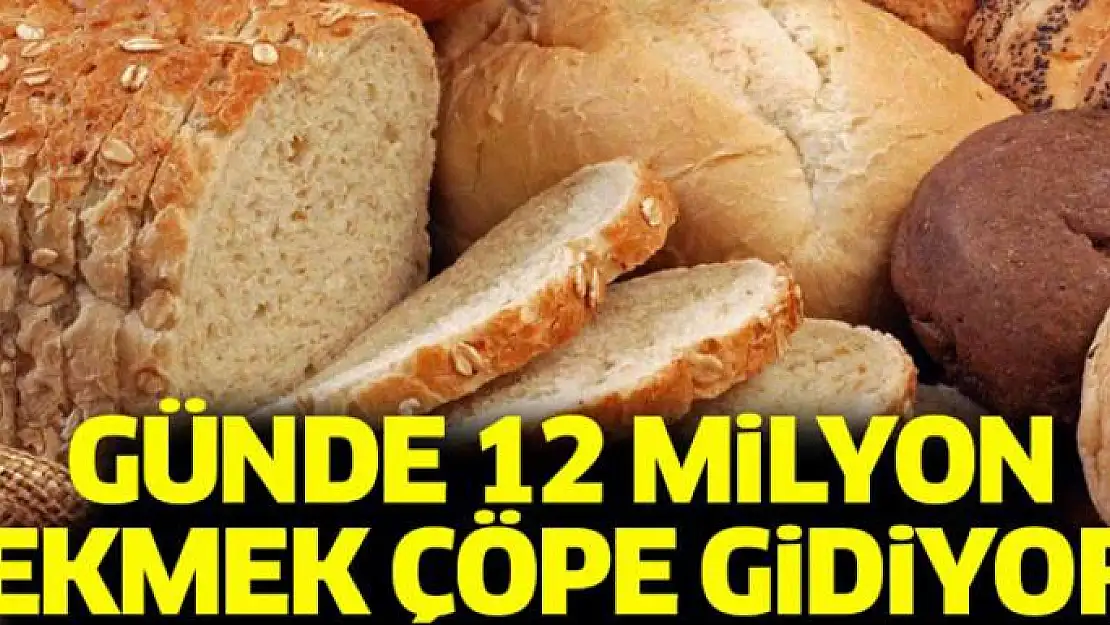 Günde 12 milyon ekmek çöpe gidiyor