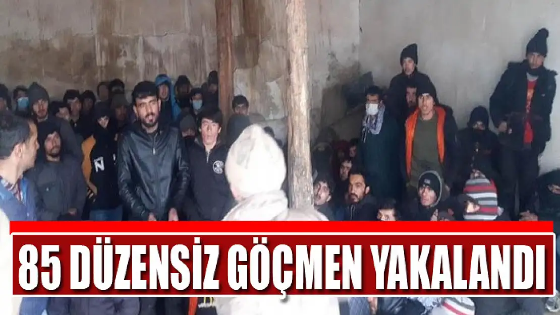 85 düzensiz göçmen yakalandı