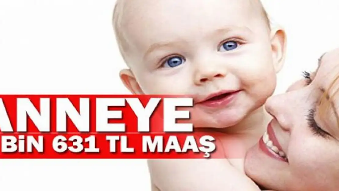 Anneye devlet 5 bin 631 TL ödüyor