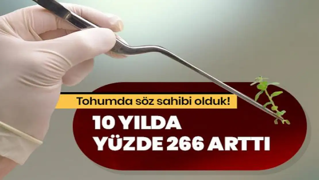 Tohumda söz sahibi olduk! 10 yılda yüzde 266 arttı