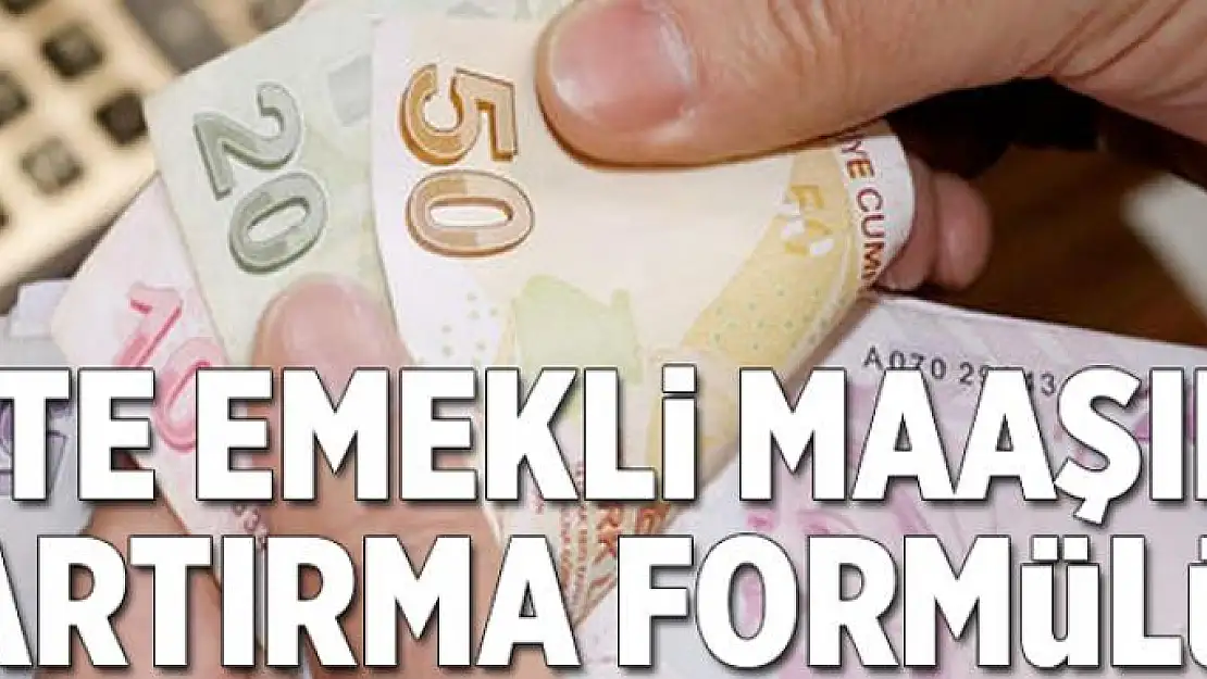 Emekliye yüksek maaş  