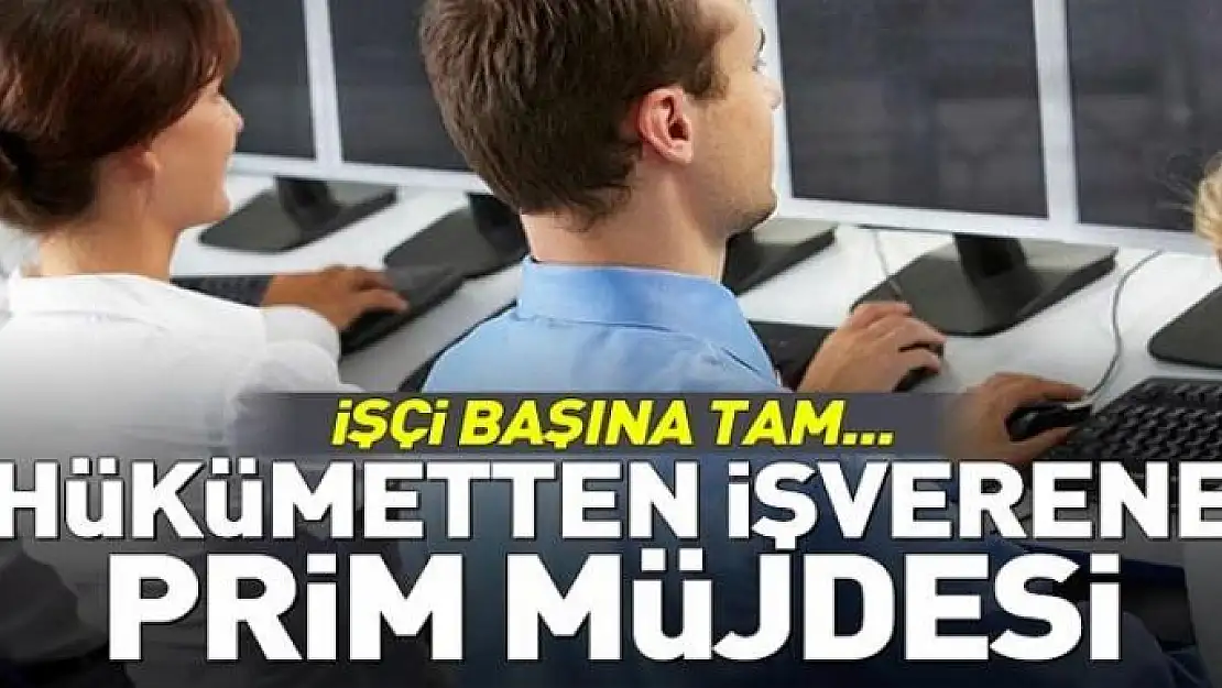 Hükümetten işverene prim desteği 