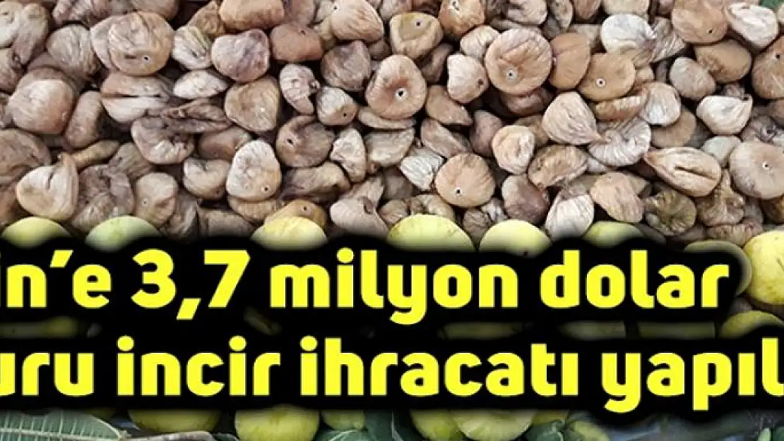 Çin'e 3,7 milyon dolar kuru incir ihracatı yapıldı