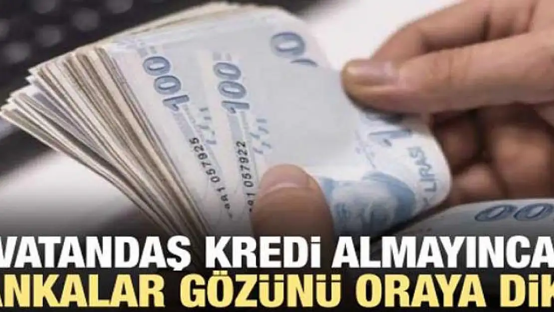 Vatandaş kredi almayınca bankalar gözünü oraya dikti