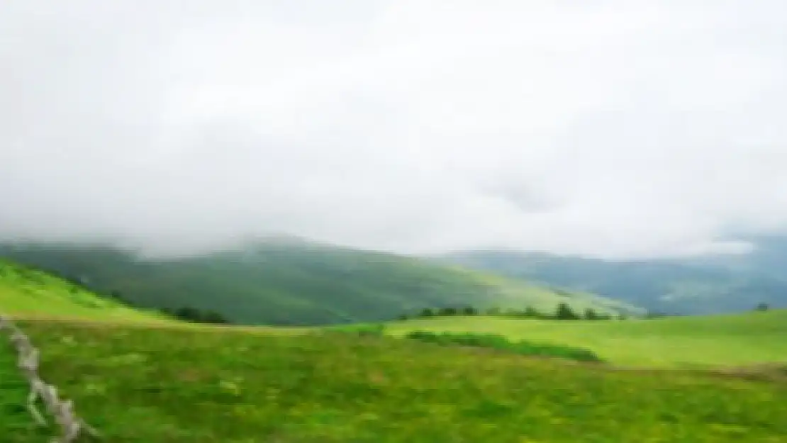 GEVAŞ'TA YAYLA SORUNU ÇÖZÜLEMİYOR