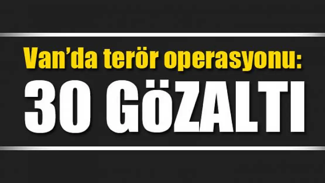 Van'da terör operasyonu: 30 gözaltı