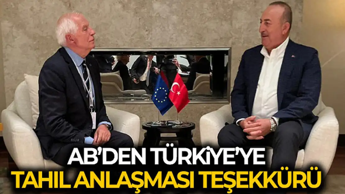 AB'den Türkiye'ye tahıl anlaşması teşekkürü