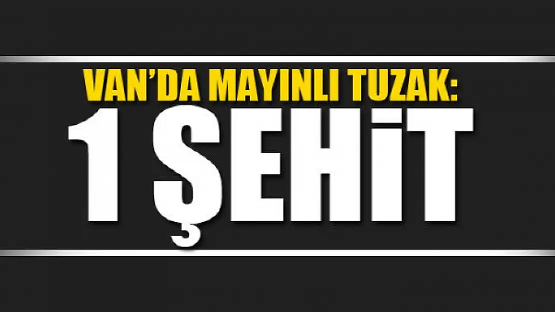 Van'da mayınlı tuzak: 1 şehit