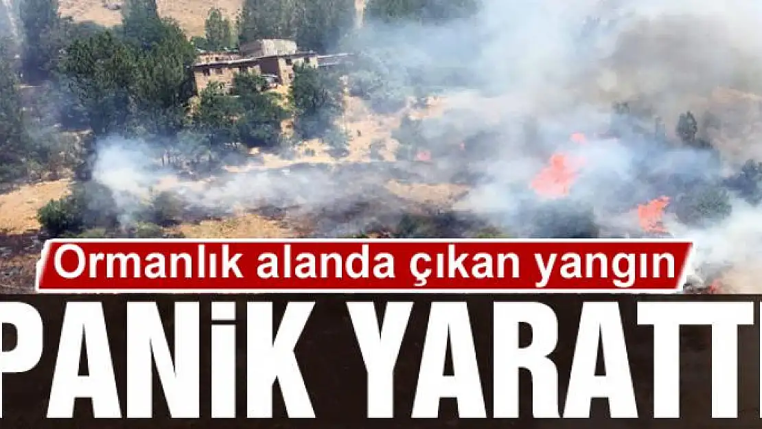 Ormanlık alanda yangın