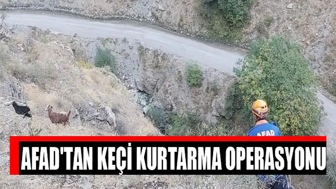 AFAD'tan keçi kurtarma operasyonu