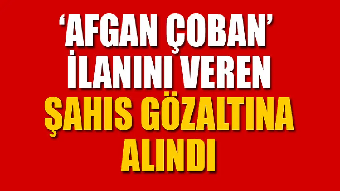 Afgan çoban ilanını veren şahıs gözaltına alındı