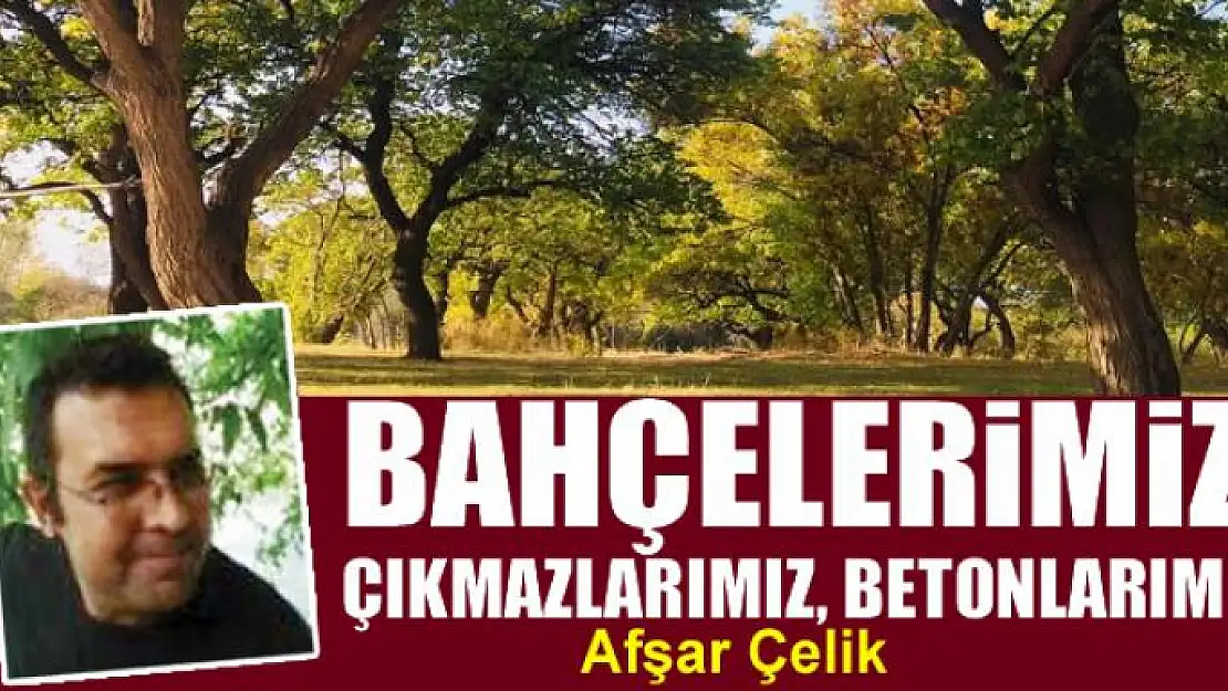 Bahçelerimiz, çıkmazlarımız, betonlarımız