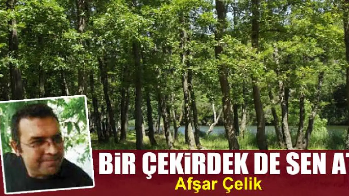 Bir çekirdek de sen at