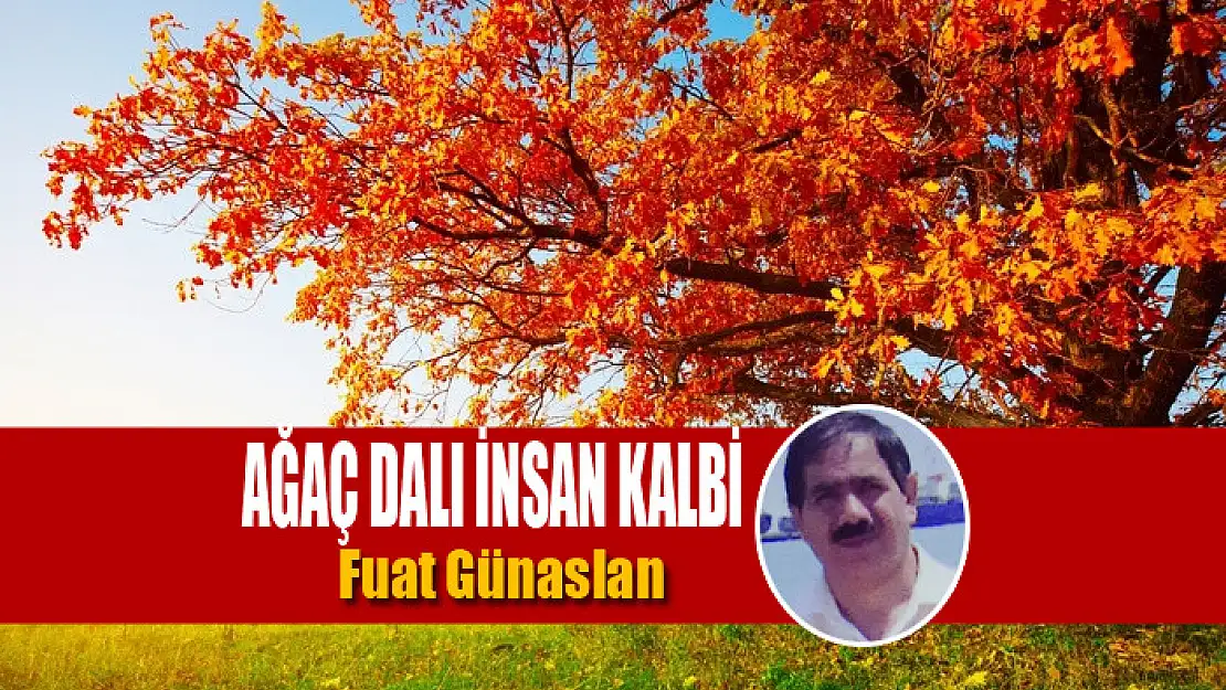 Ağaç Dalı İnsan Kalbi