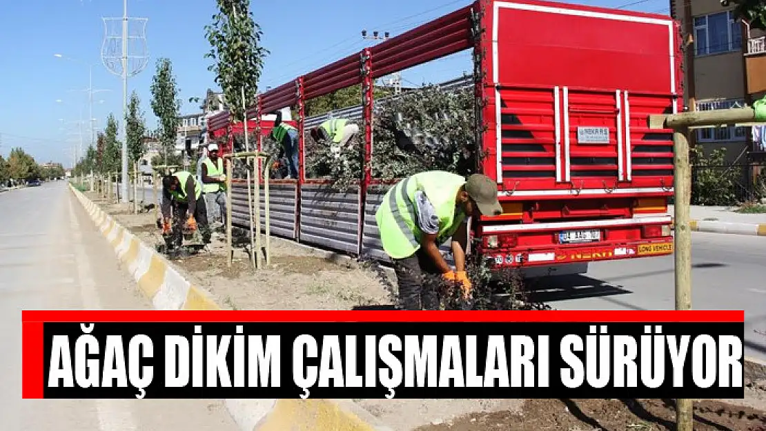 Ağaç dikim çalışmaları sürüyor