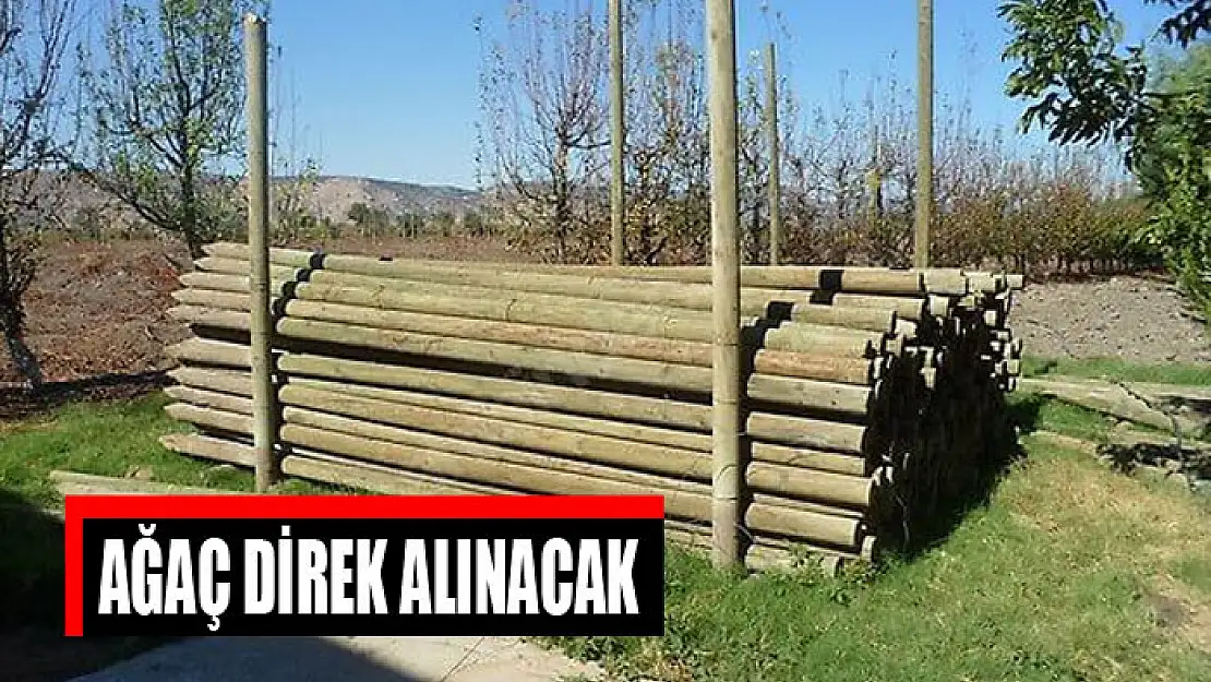 Ağaç direk alınacak