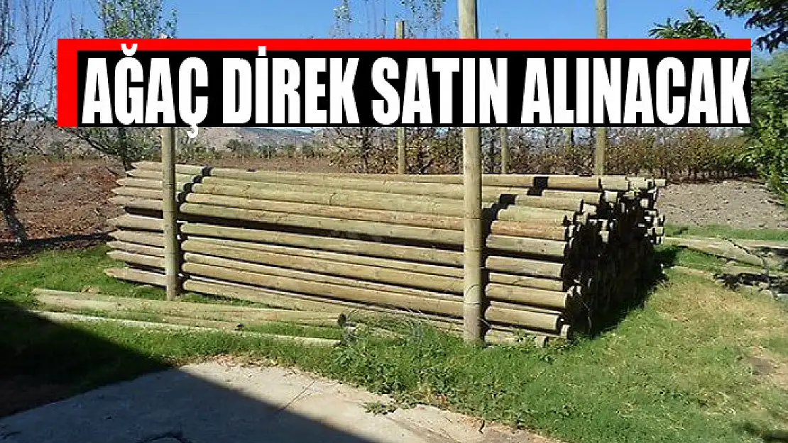 Ağaç direk satın alınacak