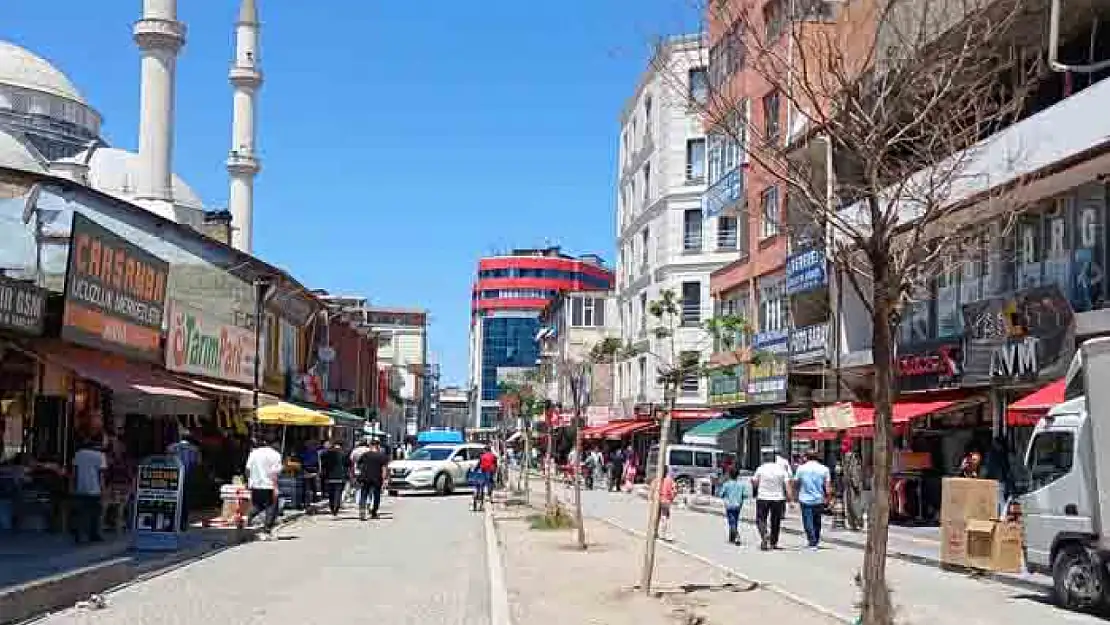 Ağaçlar bakımsızlıktan kuruyor