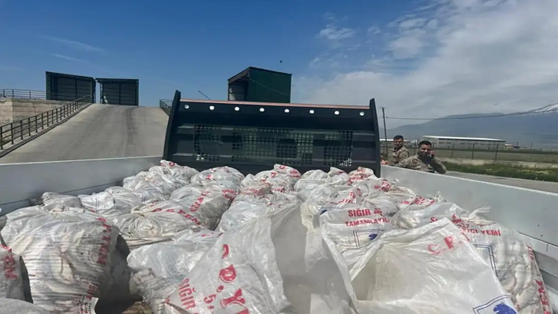 Ağrı'da 2 ton kaçak inci kefali ele geçirildi