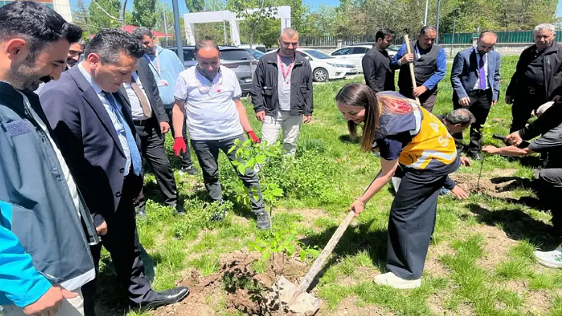 Ağrı'da fidan dikme etkinliği