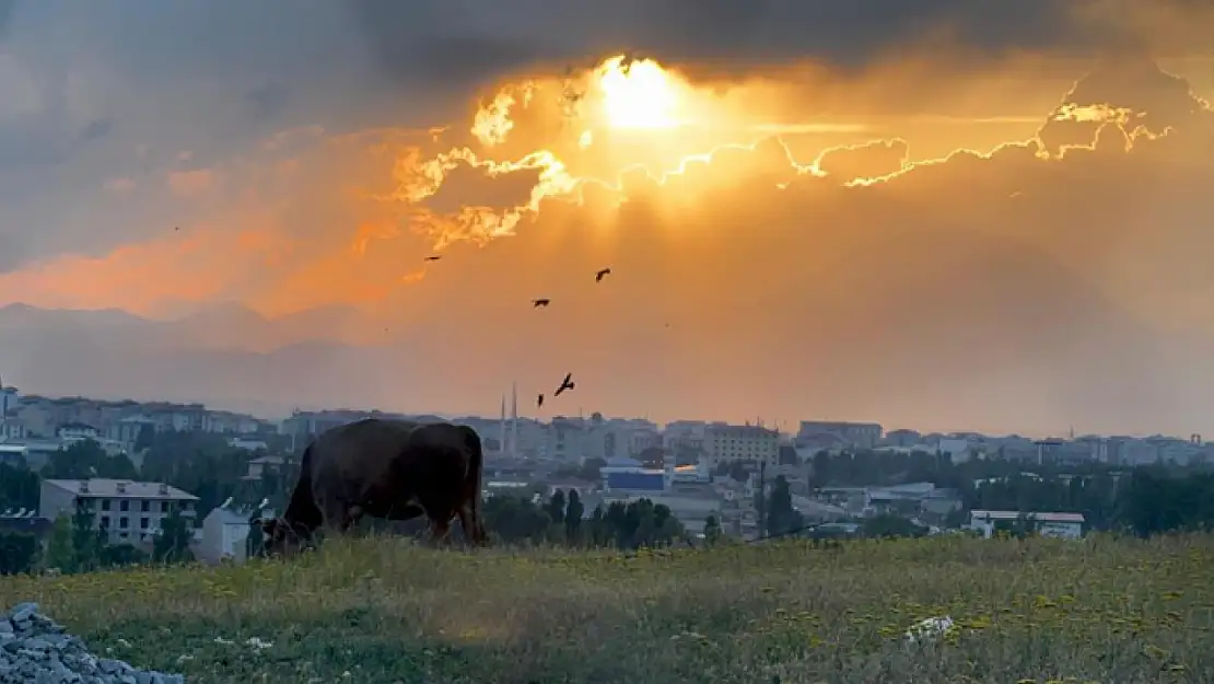 Ağrı'da gün batımı