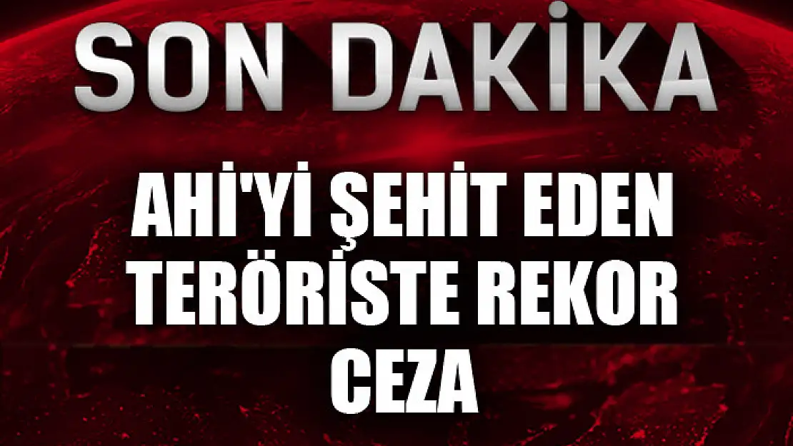 Ahi'yi şehit eden teröriste rekor ceza