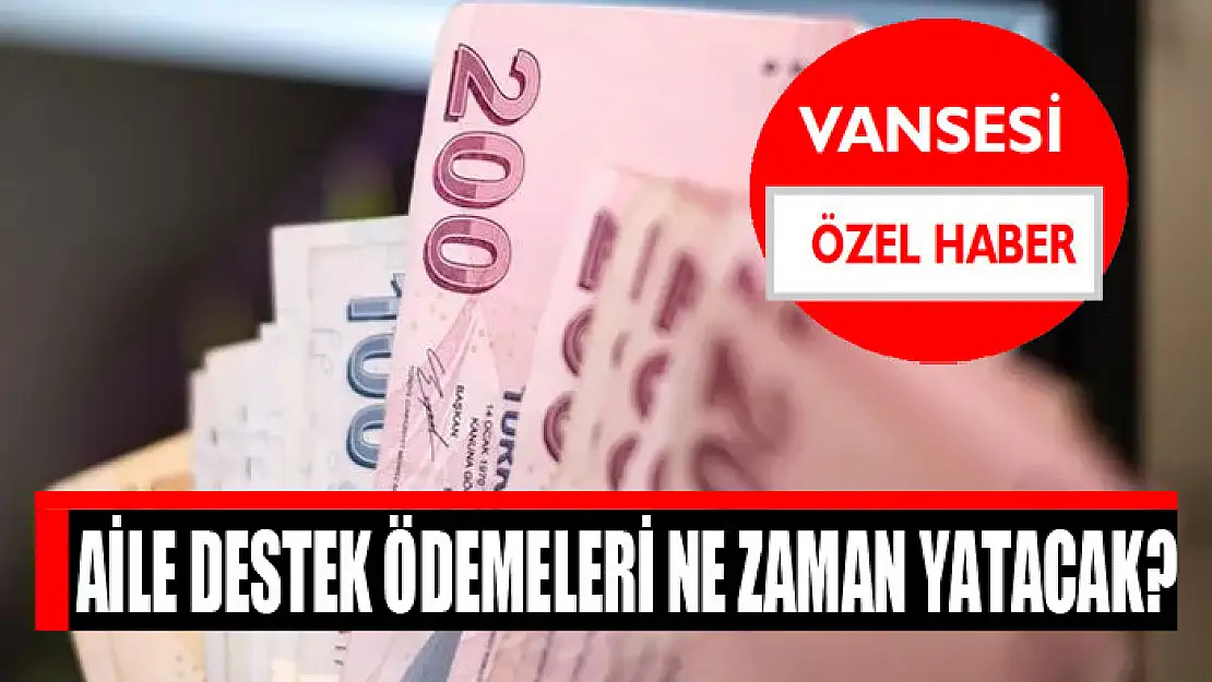 Aile destek ödemeleri ne zaman yatacak?