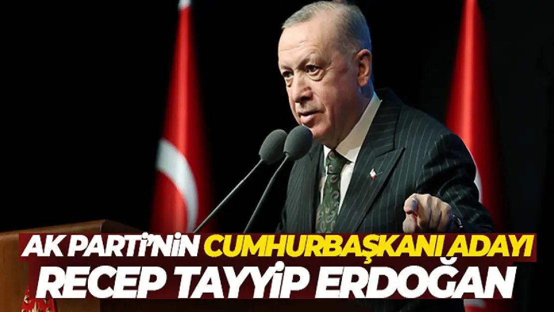 AK Parti'nin Cumhurbaşkanı adayı Recep Tayyip Erdoğan