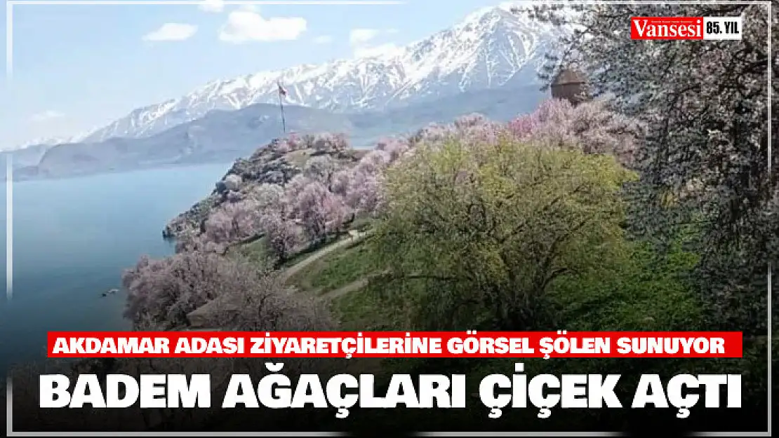 Akdamar Adası'nda badem ağaçları çiçek açtı