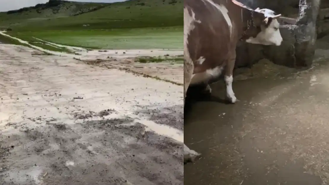 Akyaka'da dereler taştı, ahırları su bastı