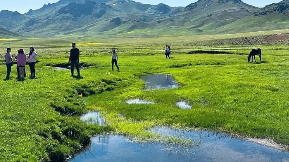 Alendeşt yaylası, menderesleri ve sarı çiçekleriyle büyülüyor