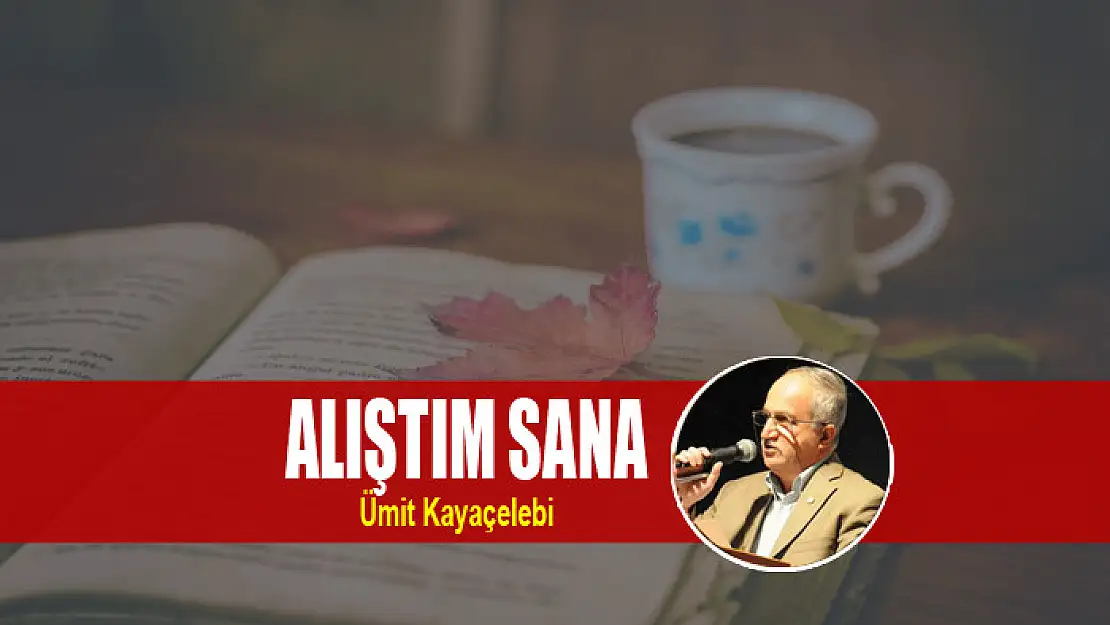 ALIŞTIM SANA