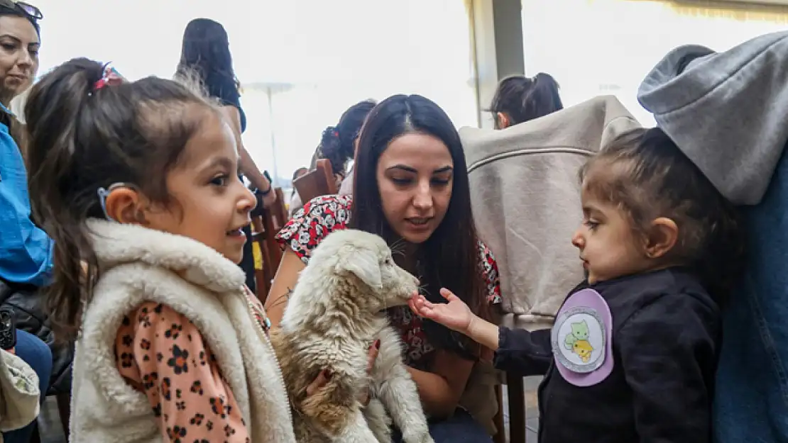 Anasınıfı öğrencileri hayvanlarla buluştu