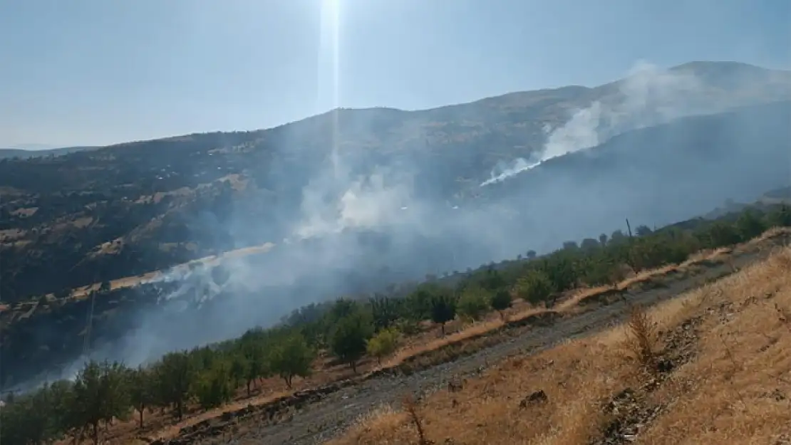 Arazi yangını ormanlık alana sıçradı