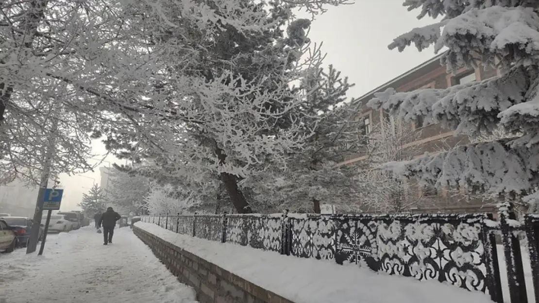 Ardahan'da Sibirya soğukları