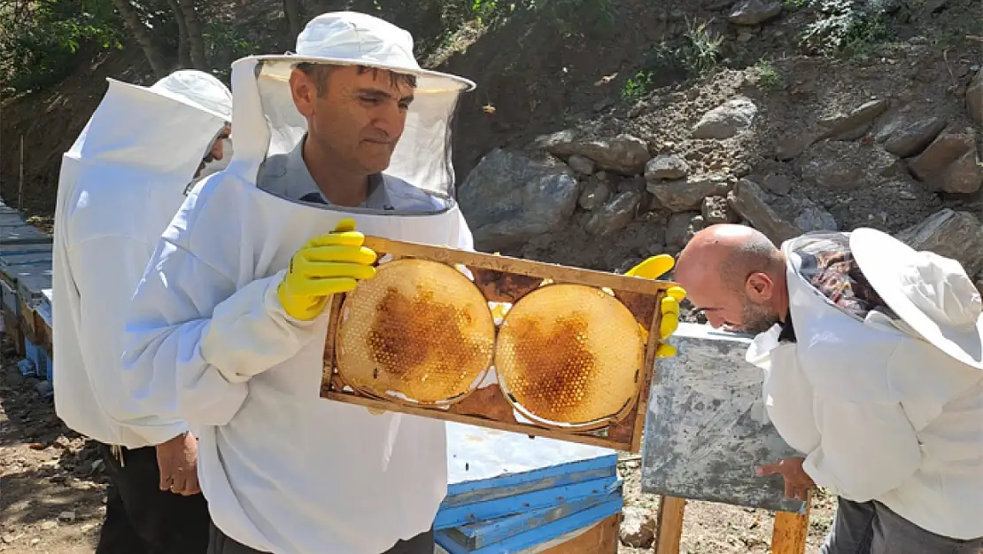 'Arı Adam' Abdulvahap Semo, Guinness'e hazırlanıyor