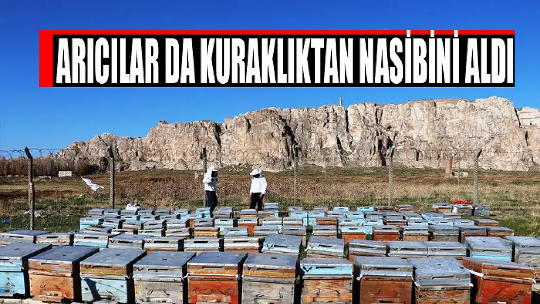 Arıcılar da kuraklıktan nasibini aldı