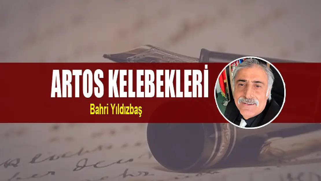 Artos kelebekleri