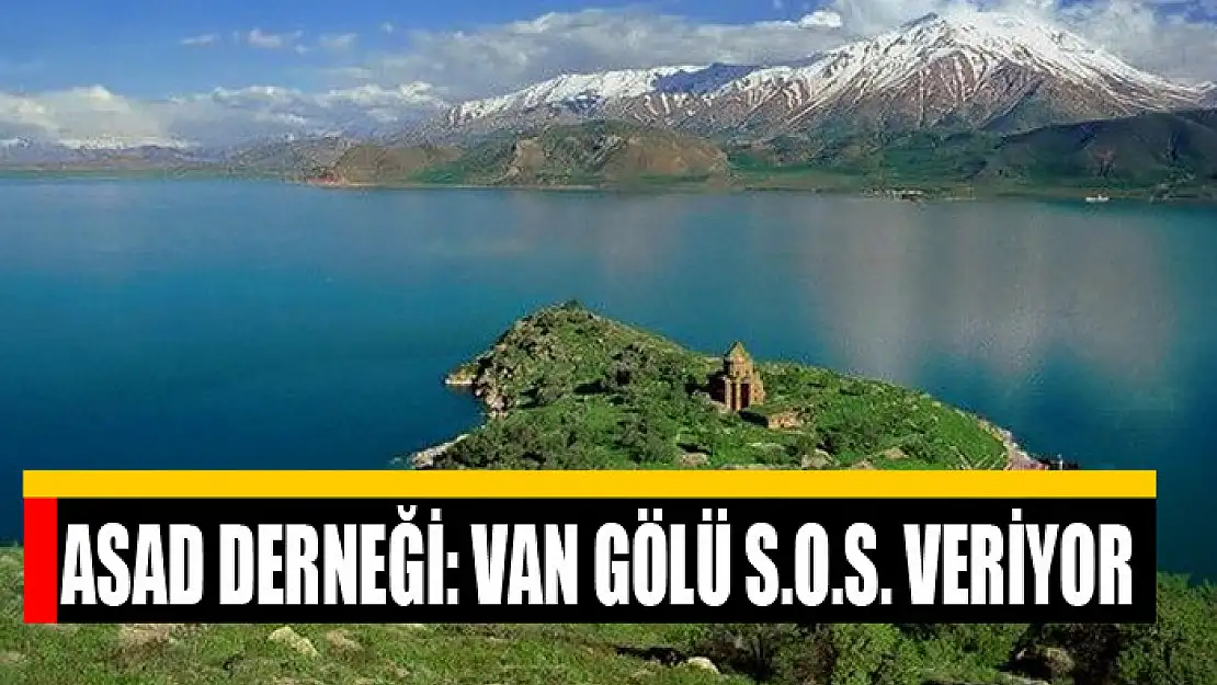 ASAD Derneği: Van Gölü S.O.S. veriyor