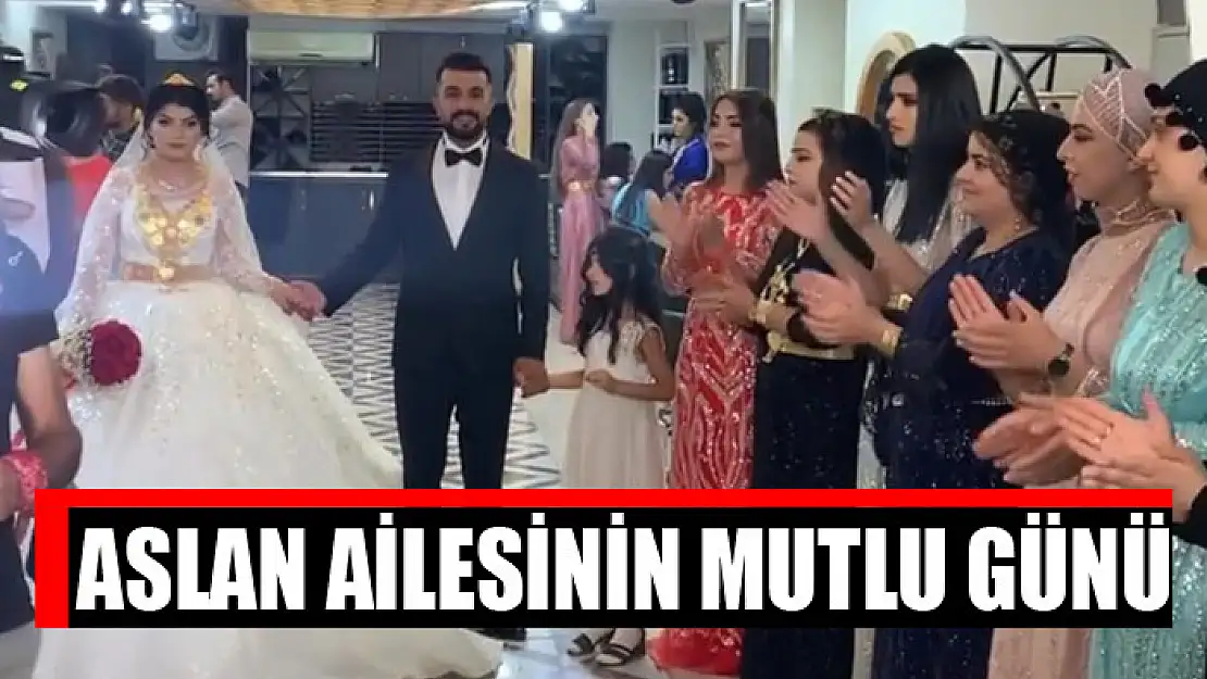 Aslan ailesinin mutlu günü