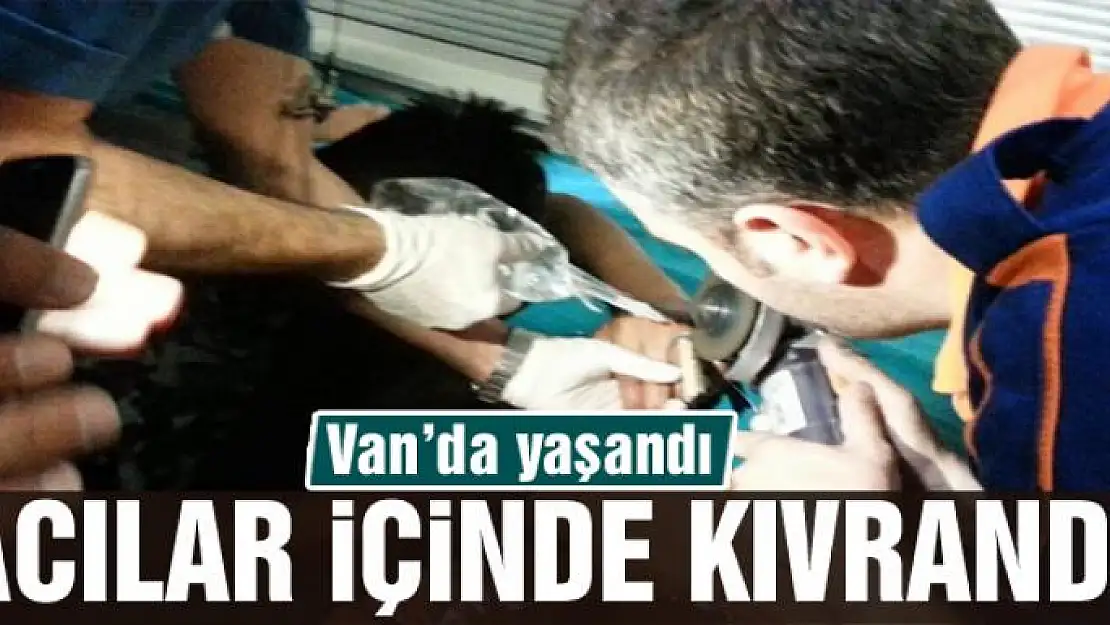 Van'da yaşandı! Acılar içinde kıvrandı