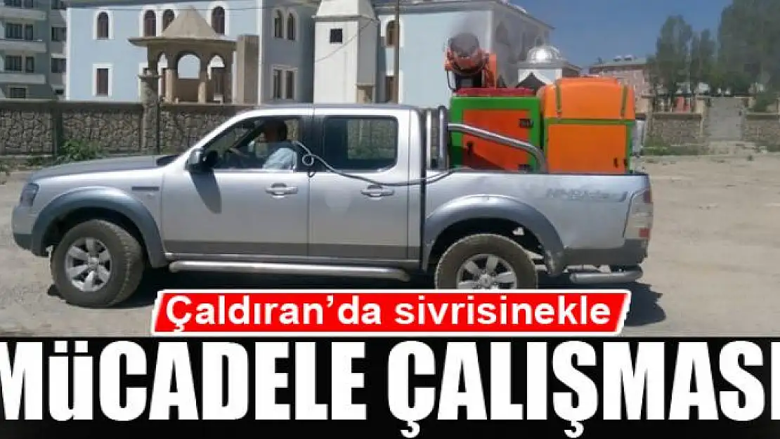 Çaldıran'da sivrisinekle mücadele çalışması