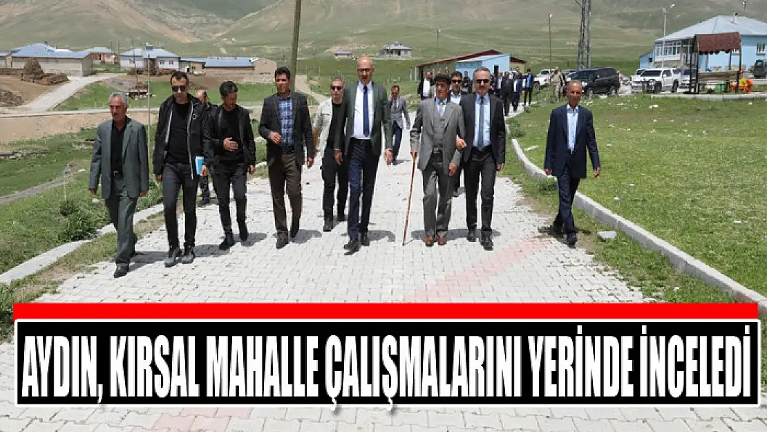 Aydın, kırsal mahalle çalışmalarını yerinde inceledi